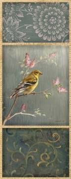 Female Goldfinch