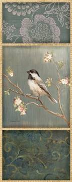 Black-capped Chickadee