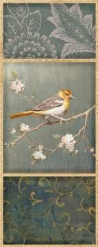 Northern Oriole