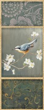 Nuthatch