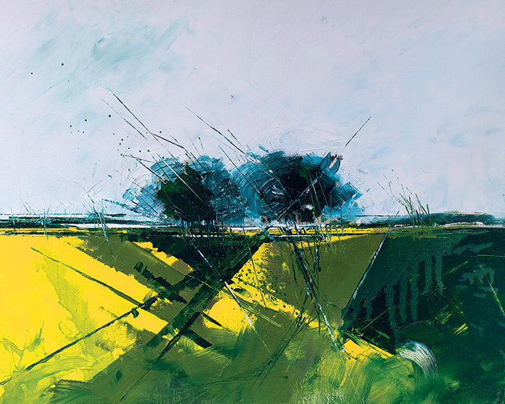 Rape Field Edge