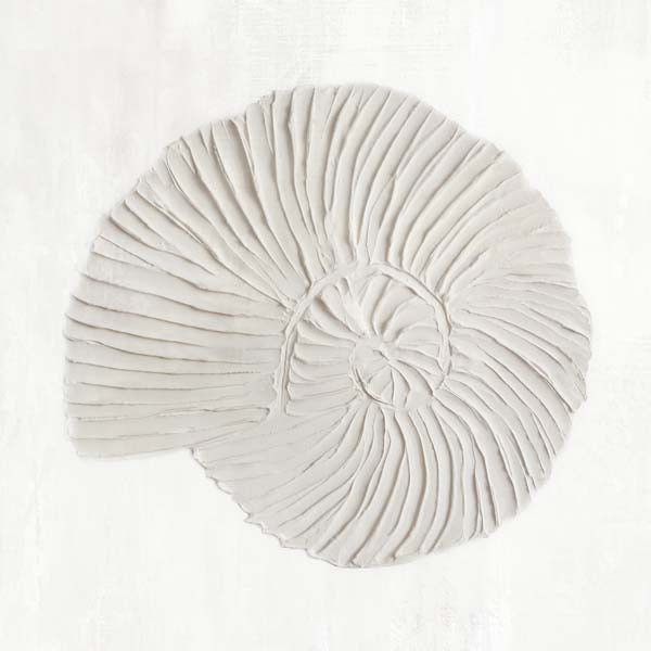 White Textured Shell II