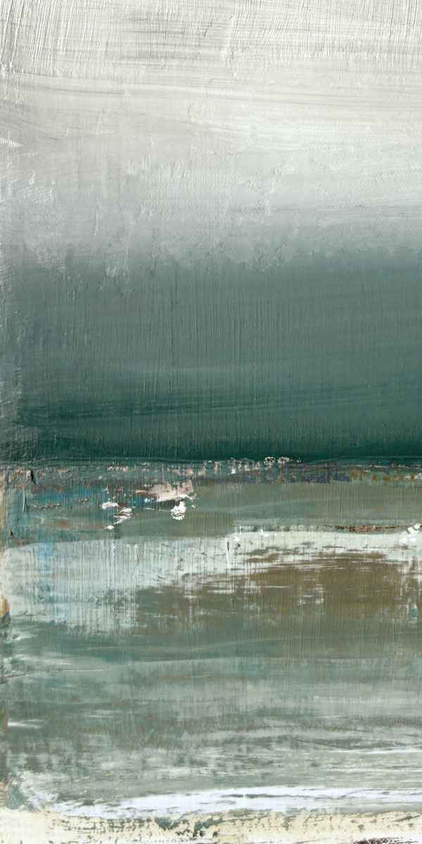 Shallows 1