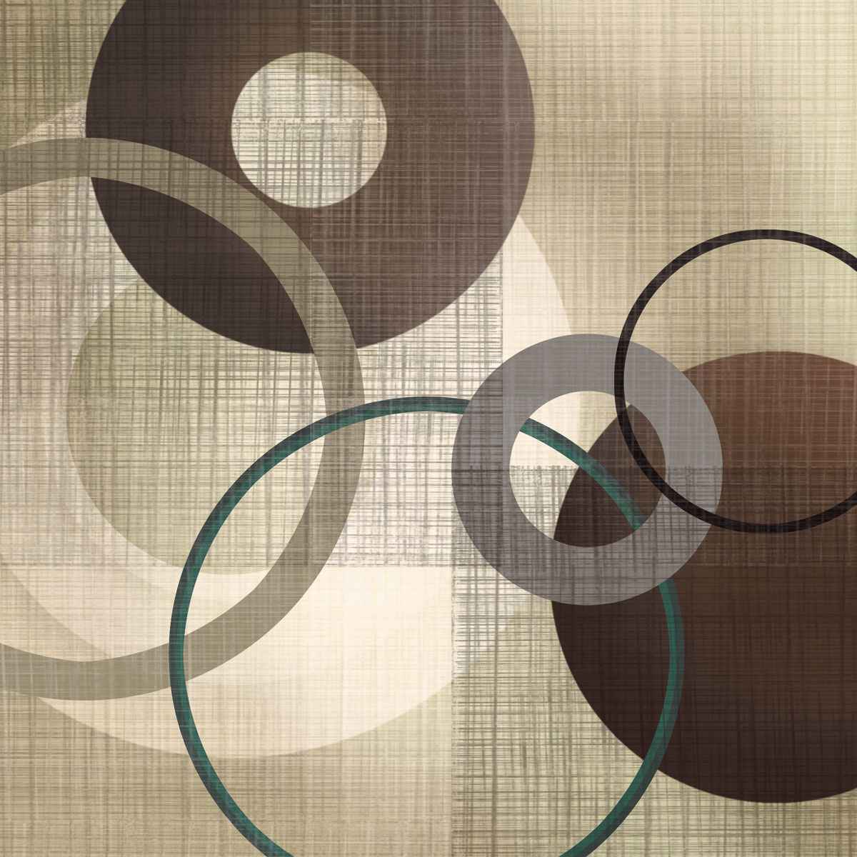 Hoops ‘N’ Loops 1