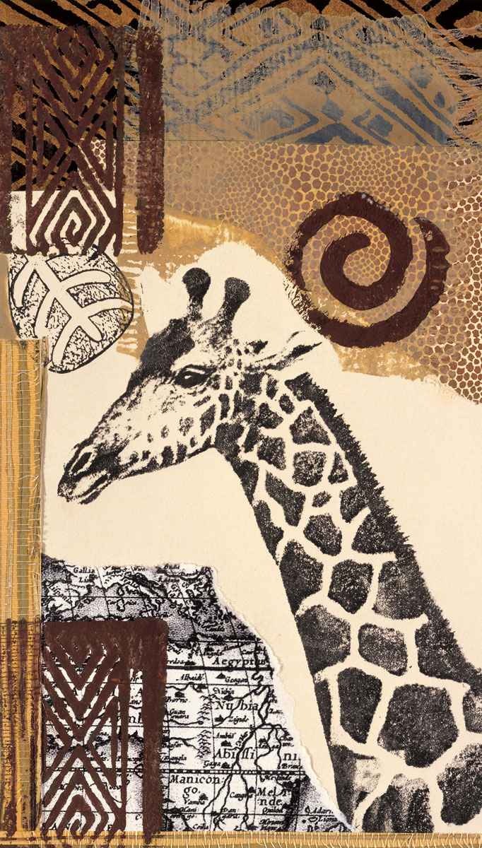 Safari 3