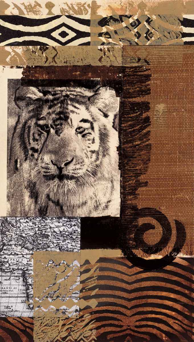 Safari 4