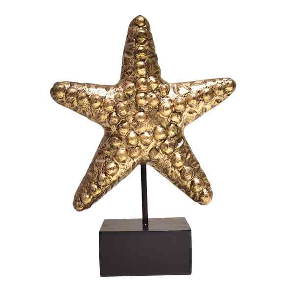 Starfish brown gold