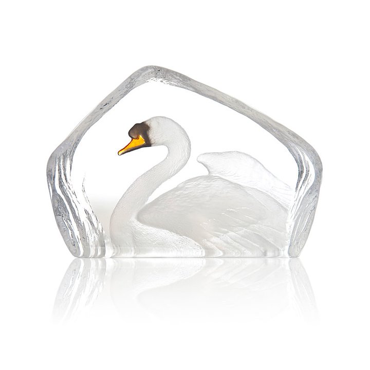 Swan