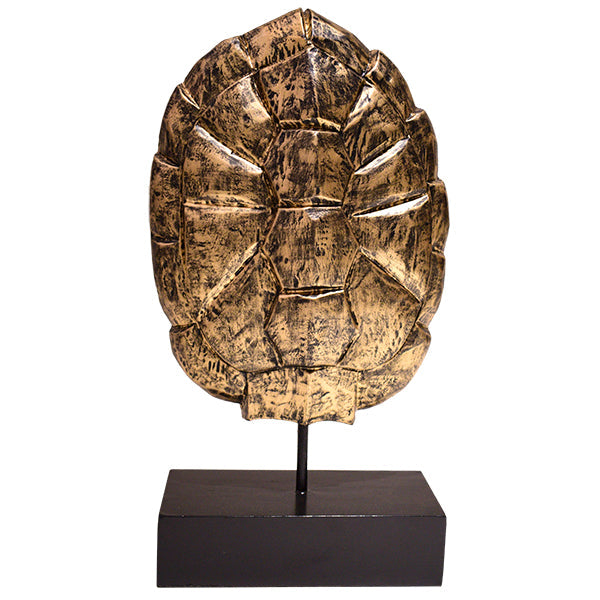 Tortoise Shell