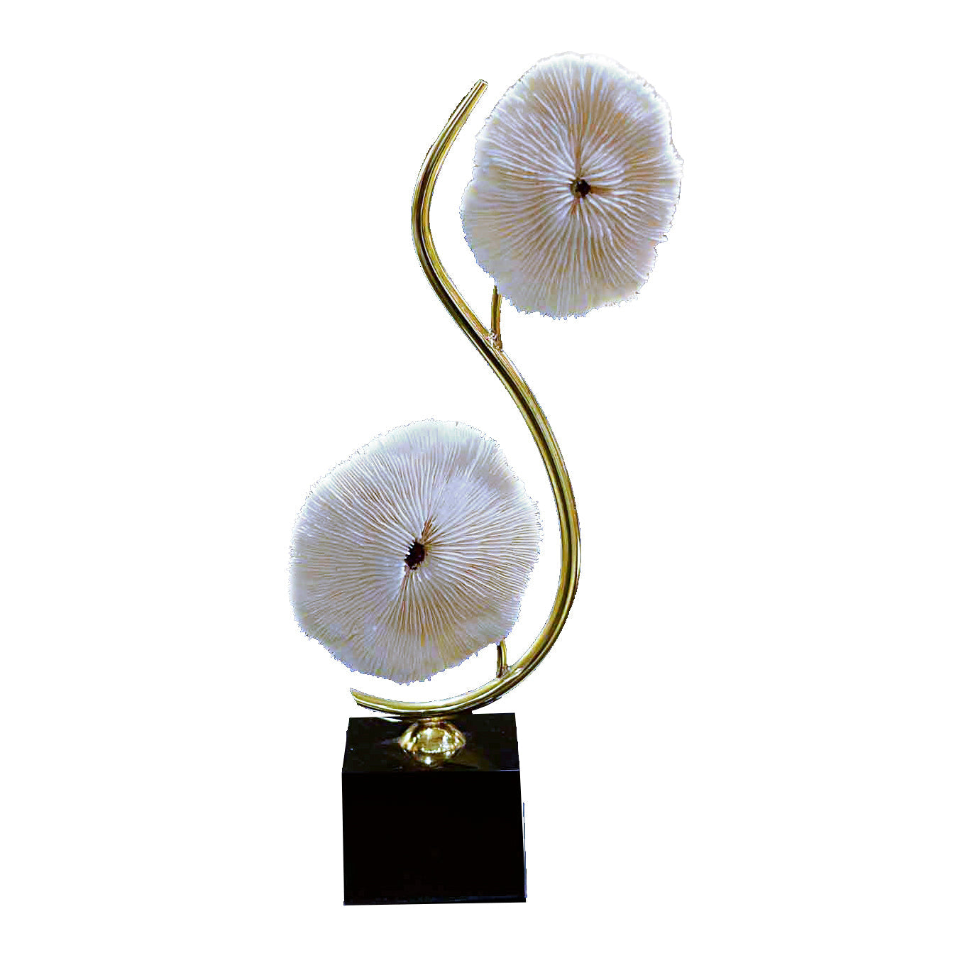 White Flower Showpiece Set